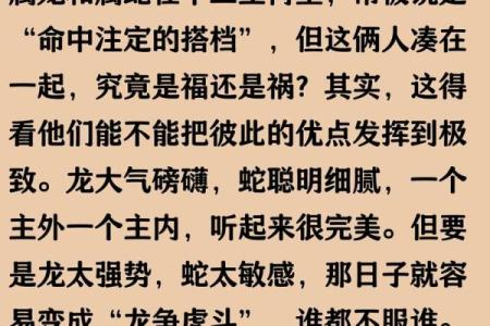 属龙的生肖配对