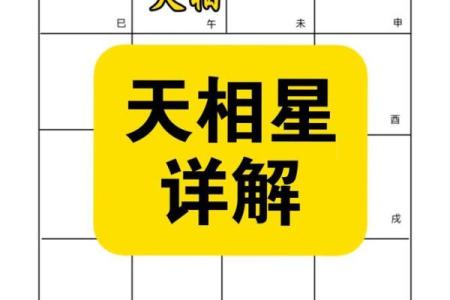观星阁紫薇斗数