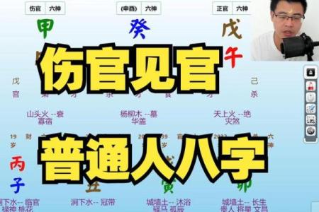 八字实例35：这不是伤官见官吗，为什么还能当官？