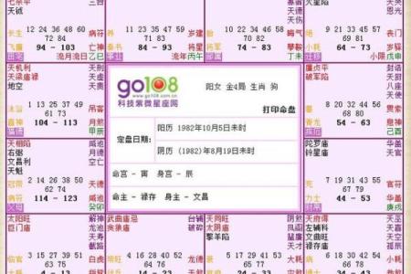 紫薇斗数显示青龙