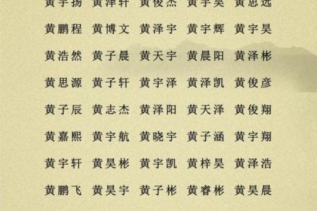 2019年5月30号卯时出生的男孩如何起名姓名