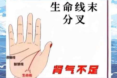 生命线算命：手掌上的玄机真能预测你的命运？