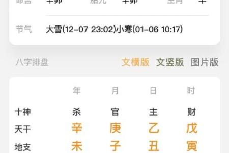 地支八字