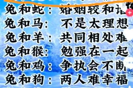 生肖兔与龙配对姻缘 生肖兔与龙相配吗？