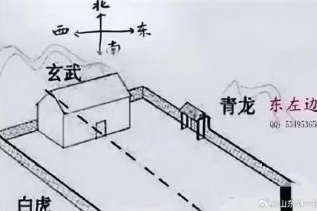 风水宝地下葬异象