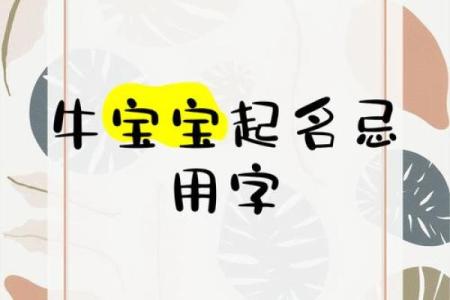 晚上1点出生的属牛男孩宜用什么字取名姓名