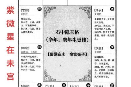 紫微斗数在线算命免费下载 紫微斗数在线排盘免费解析？