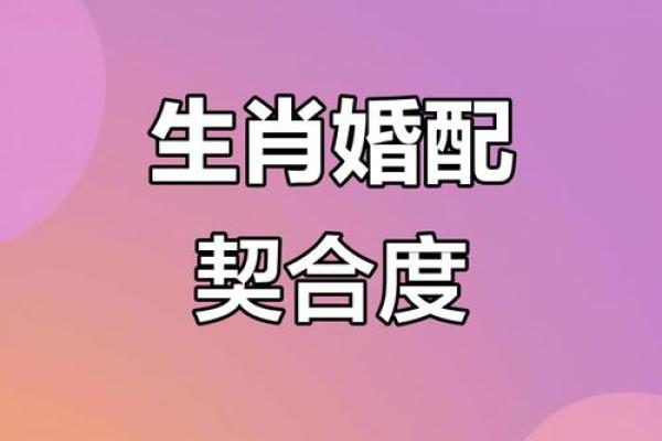 爱情长久的生肖配对