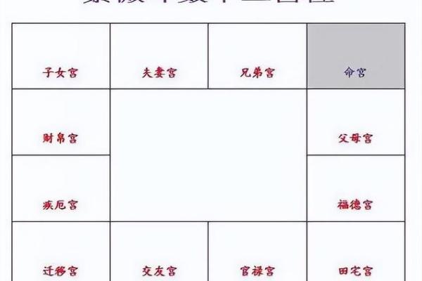 紫薇斗数排盘免费测试