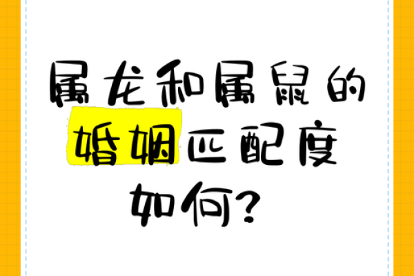 属鼠正缘出现在哪年 属鼠人婚姻配对表