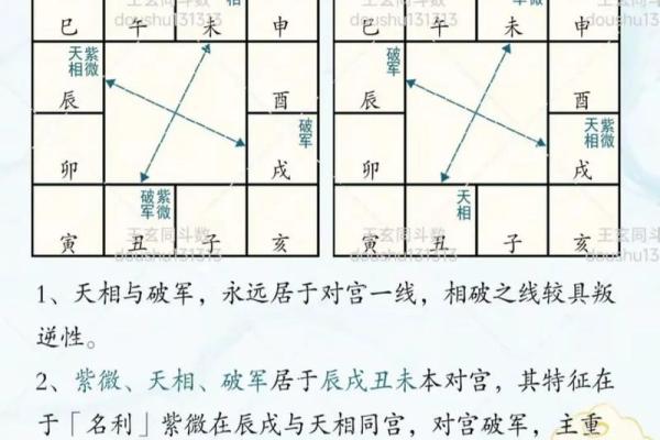 紫微斗数之父母宫与诸星，天相星在父母宫是什么意思？