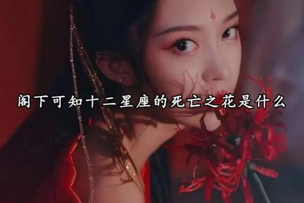适合十二星座的分手文案