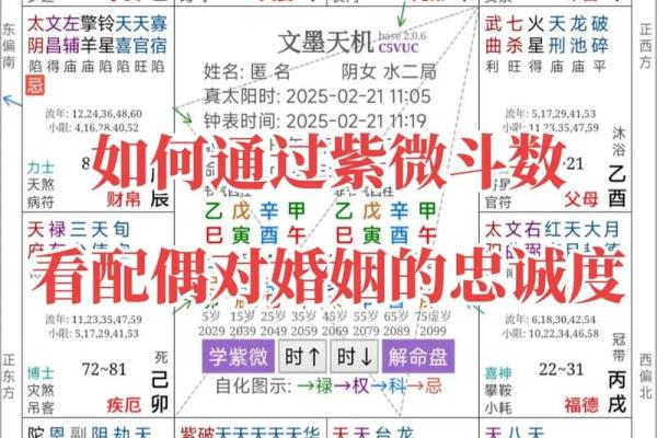 紫微斗数之各星曜所主行业：看婚姻