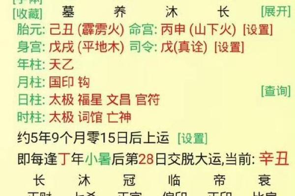 八字夫宫水
