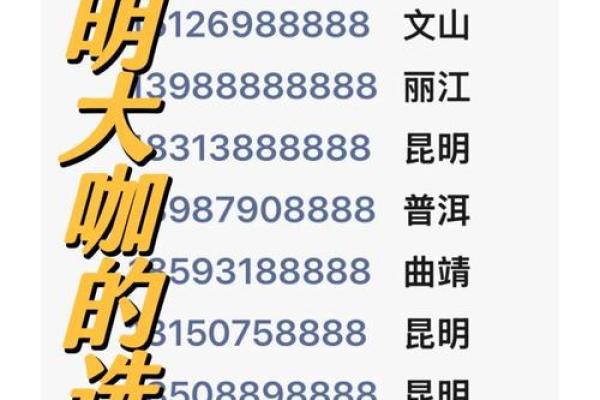 手机号测试吉祥号
