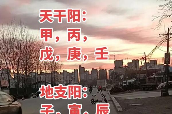 全阳八字女