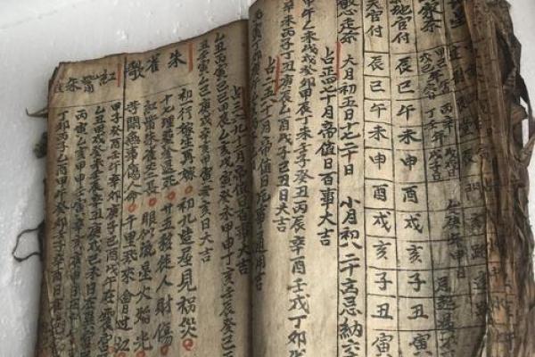 妻子沉迷于“算命占卜”家庭最后又收获了什么？