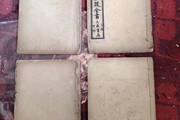 风水堪舆_奇门遁甲等一体的书