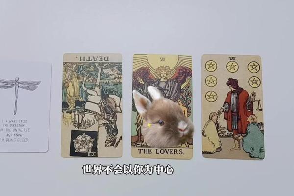 塔罗测试-七月份,你的身边的桃花,是怎样的