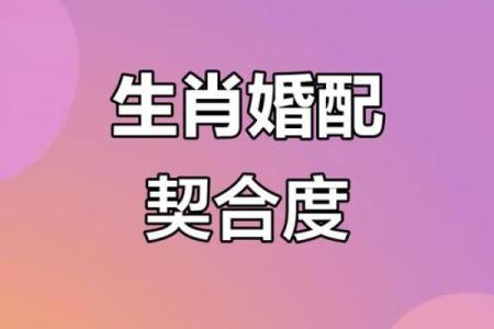爱情长久的生肖配对