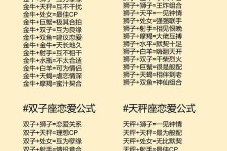 十二星座的爱情 十二星座的爱情配对