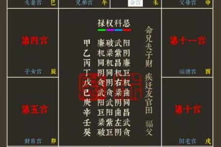 紫薇斗数排盘免费测试