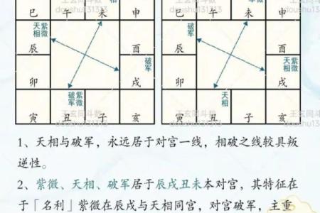 紫微斗数之父母宫与诸星，天相星在父母宫是什么意思？