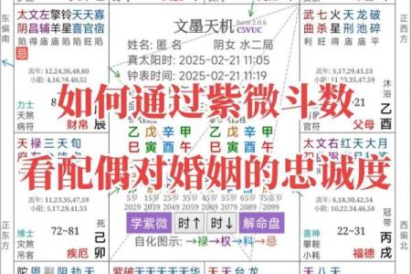 紫微斗数之各星曜所主行业：看婚姻