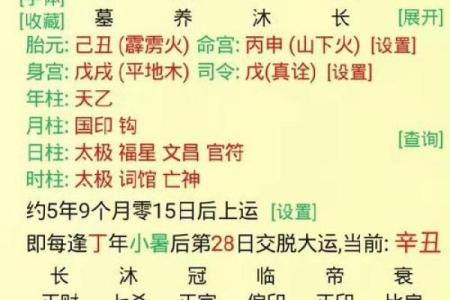 八字夫宫水