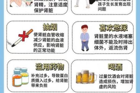 八字无水肾不好怎么办