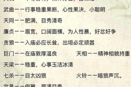 紫薇斗数文章