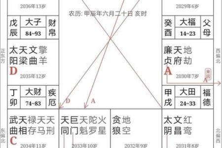 紫薇斗数宫位破