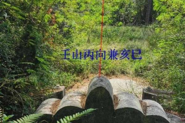 揭秘祖坟好风水的基本要求有哪些