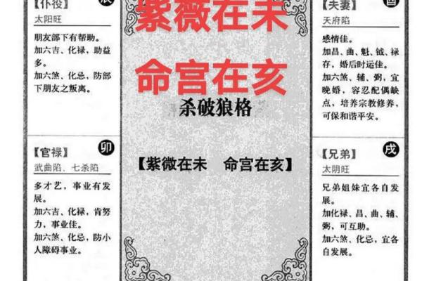 紫薇斗数身宫未