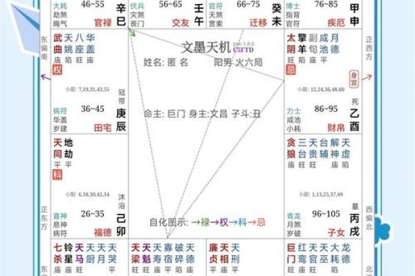 紫薇斗数身宫未
