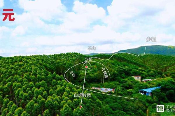 阴宅风水怎样选择风水宝地