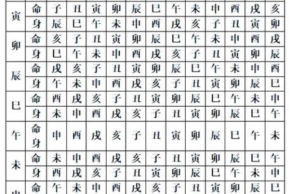 紫薇斗数命身宫