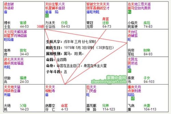 紫薇斗数命身宫