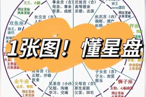 丁酉丙午癸酉丁巳，解析八字命盘的五行属性和性格特点