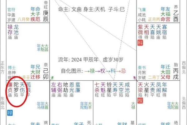 紫薇斗数的太阳化忌
