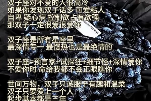 最懂双子女的星座 谁是最懂双子女的星座