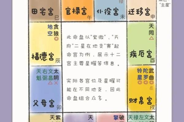 阿里紫薇斗数