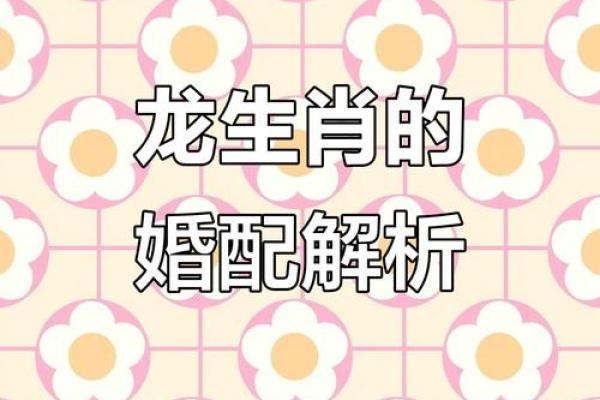 女龙男羊生肖配对姻缘 属龙女与属羊男婚姻配对详解