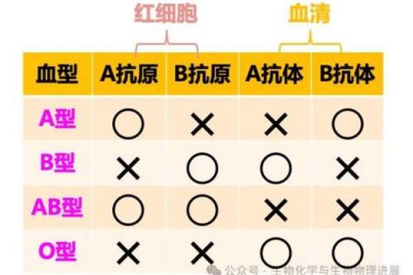 血型研究的发展史是怎样的