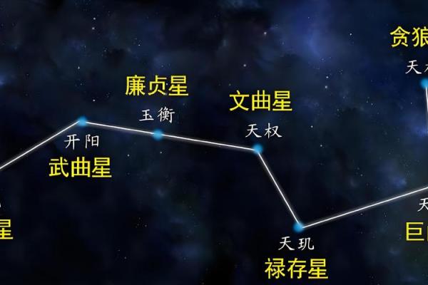 紫薇斗数男性篇