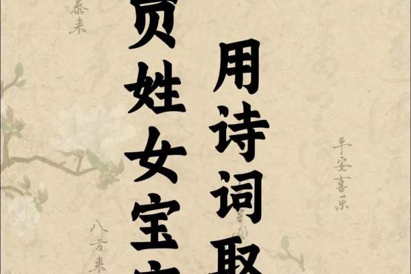 姓贾的名人-姓名学-华易算命网姓名