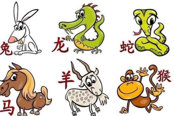 生肖和八字