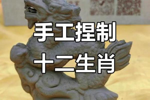 围绕中心生肖养，打造最全生肖百科！