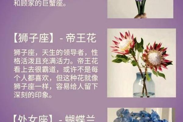 处女座幸运的,十二星座的永久幸运色