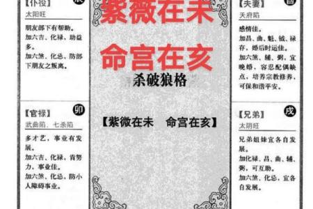 紫薇斗数身宫未